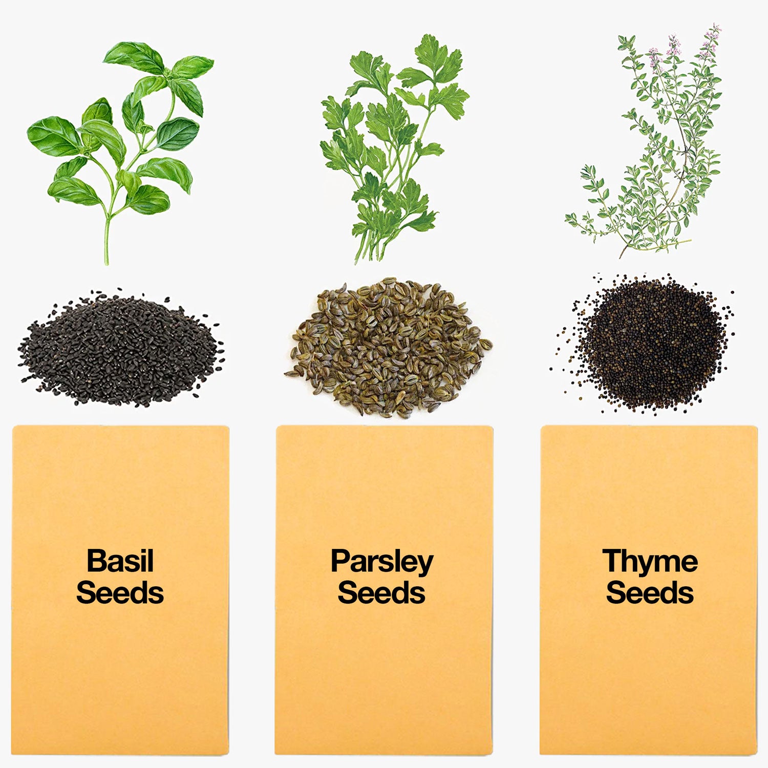 Herb Garden in a Box