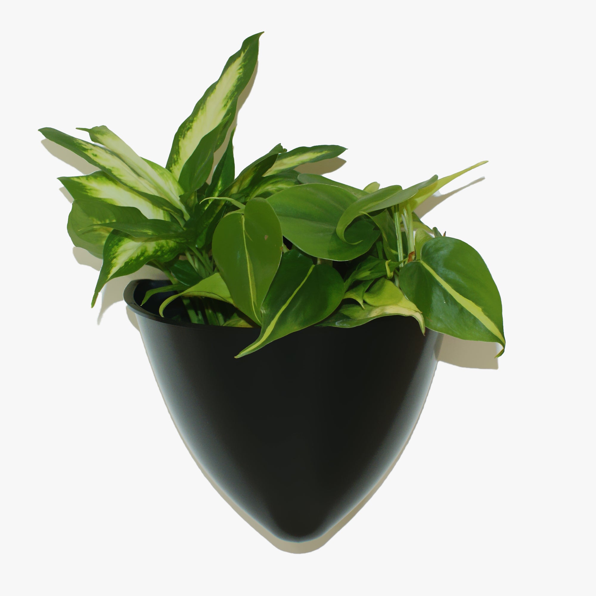 Sead Pod Vertical Garden Planter