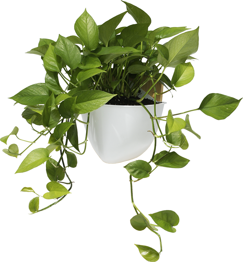 Sead Pod Vertical Garden Planter + Solar Automatic Drip Irrigation Kit System