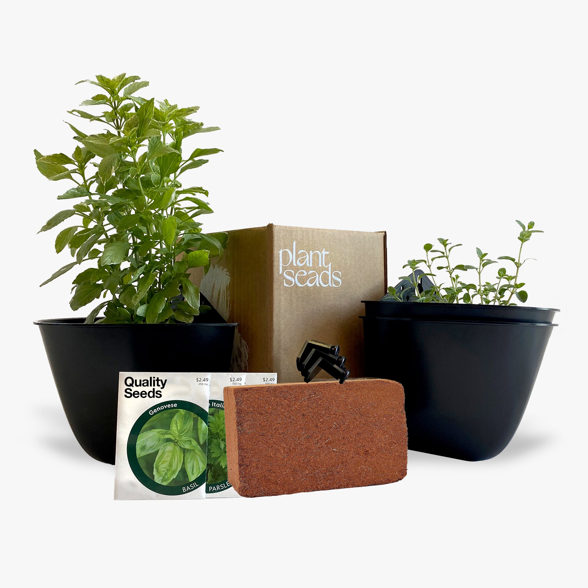 Herb Garden in a Box