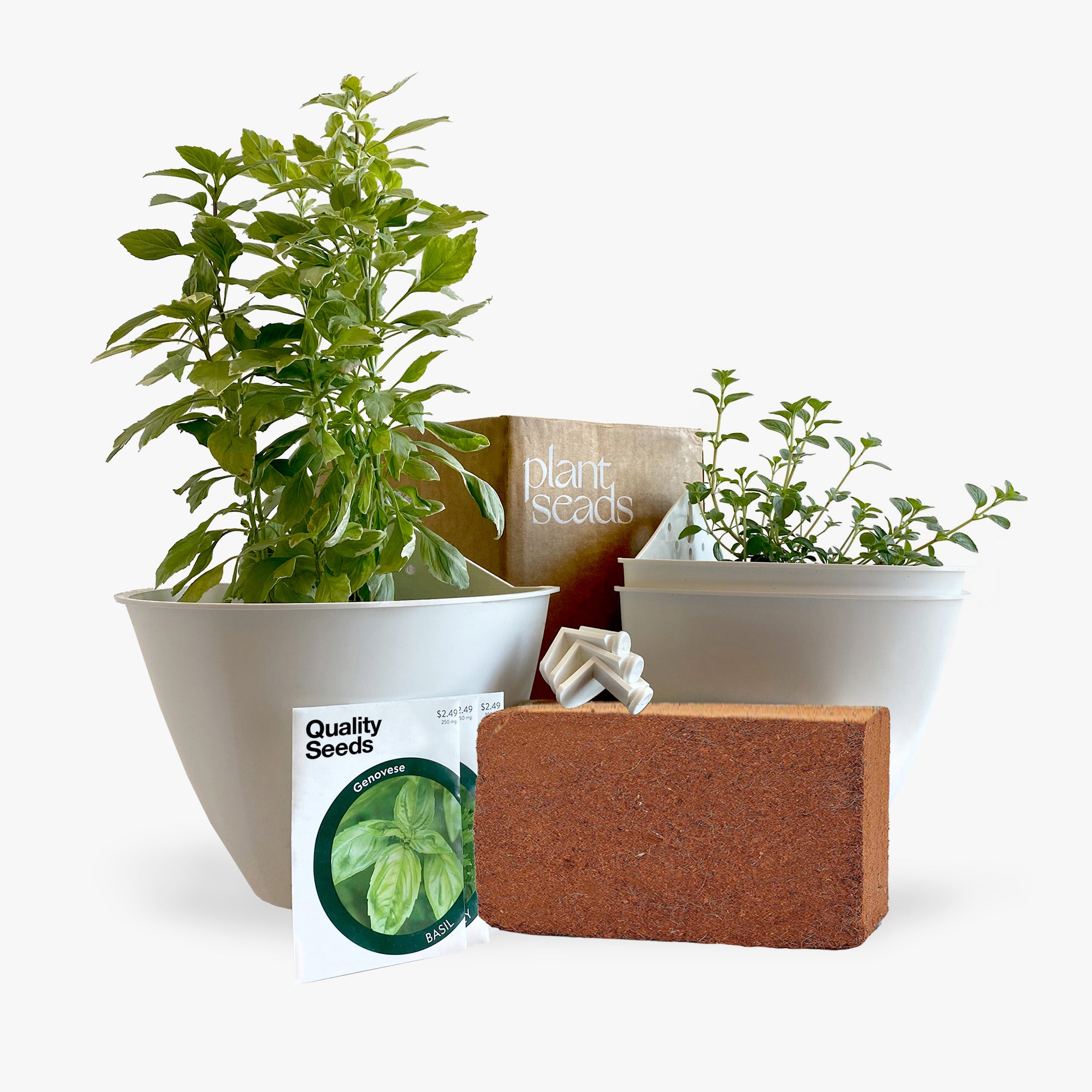 Herb Garden in a Box