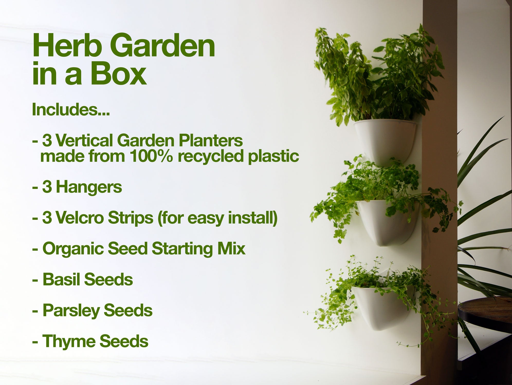 Herb Garden in a Box