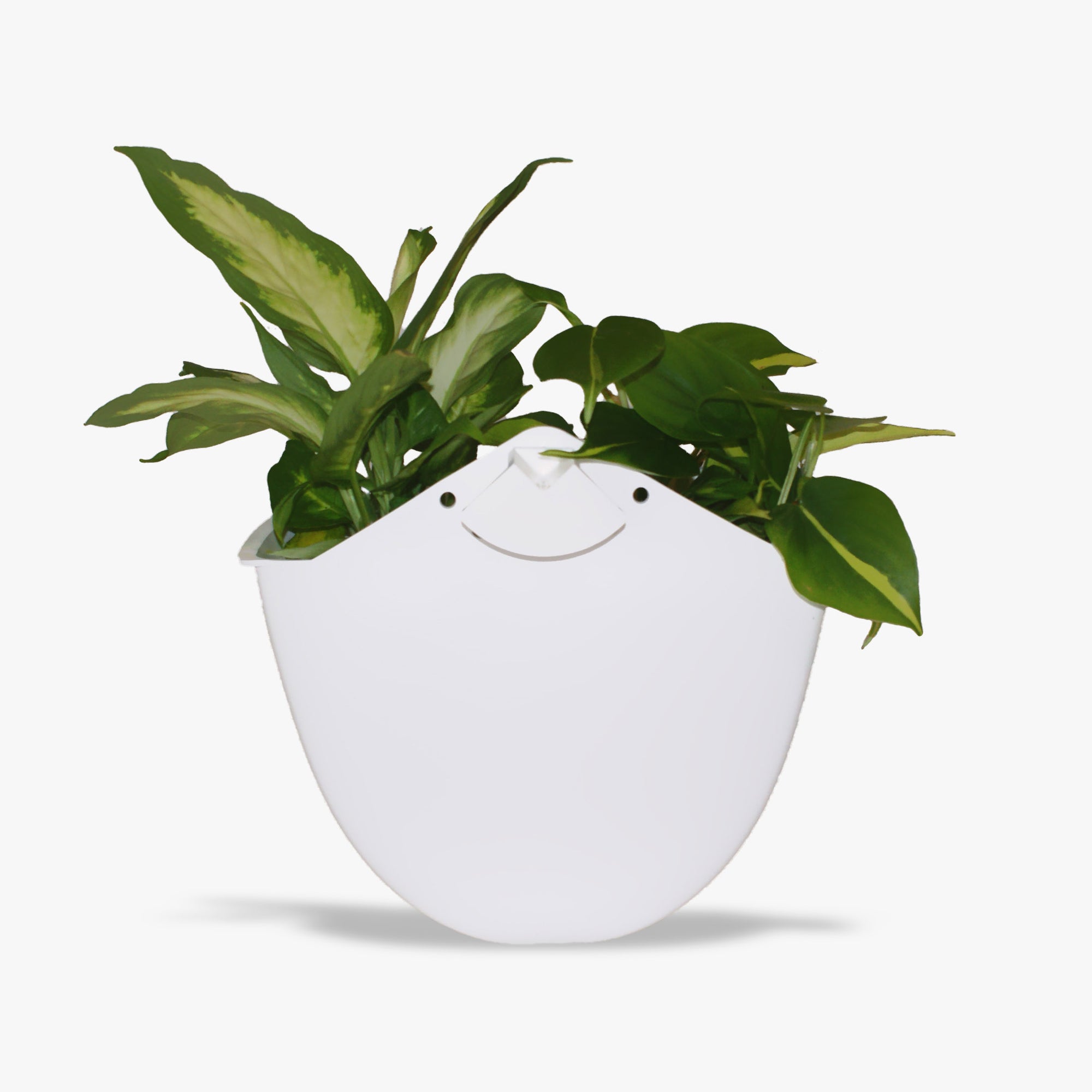 Sead Pod Vertical Garden Planter